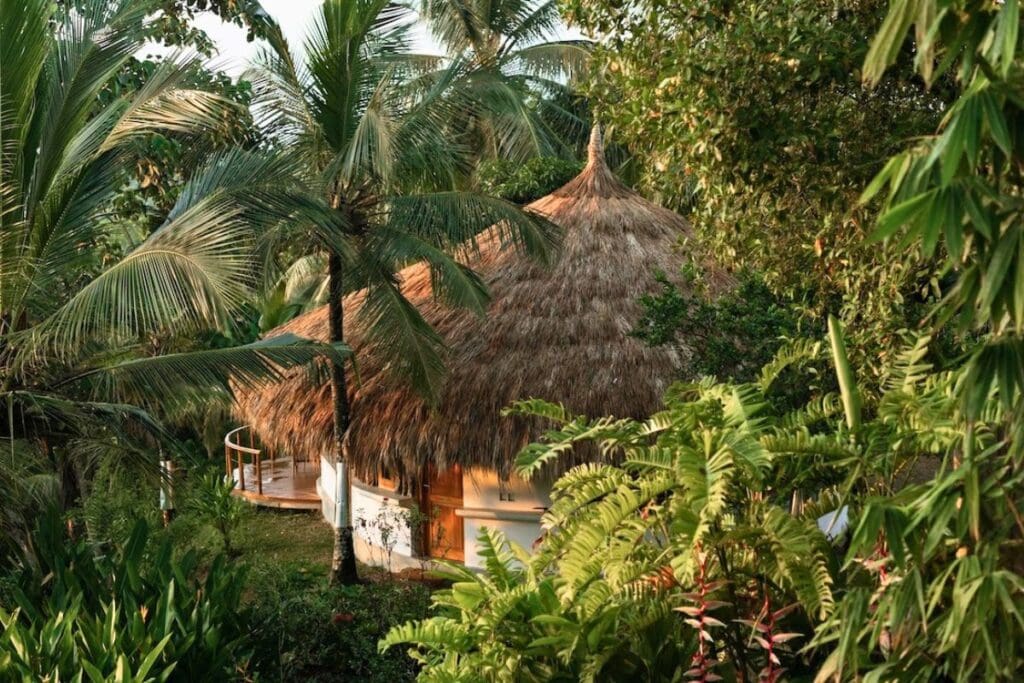 The property