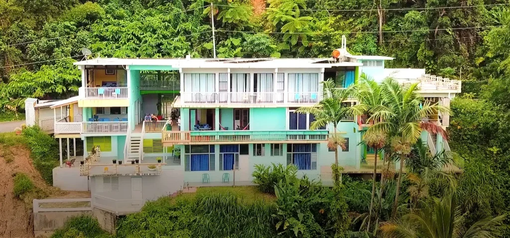 Light green and white building with 3 floors in the middle of a green jungle