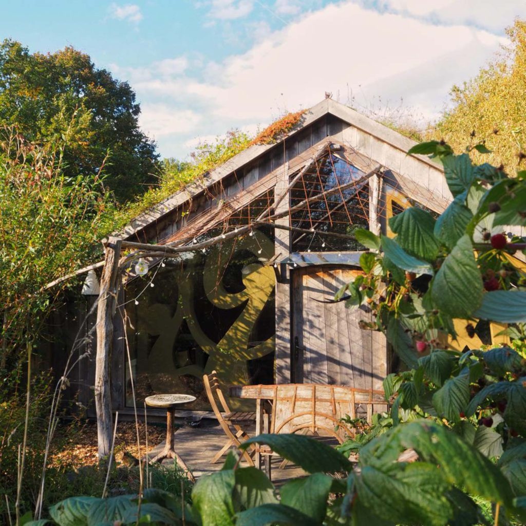 A small wooden house covered and surrounded by greenery.