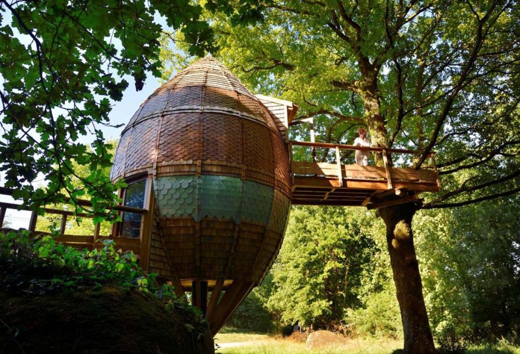 An oval-shaped wooden construction that is connected to a trees through small boardwalks.