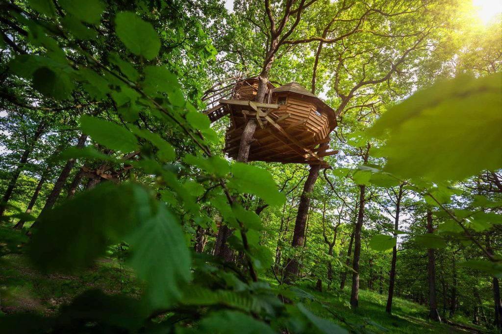 A wooden small treehouse up on the tree. 