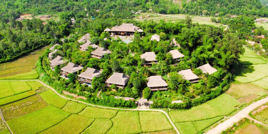 Lots of small houses in the middle of a rice field.