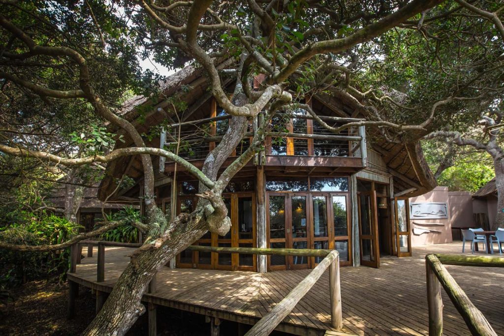 Wooden tree house with two stories with a large terrace in between branches. 