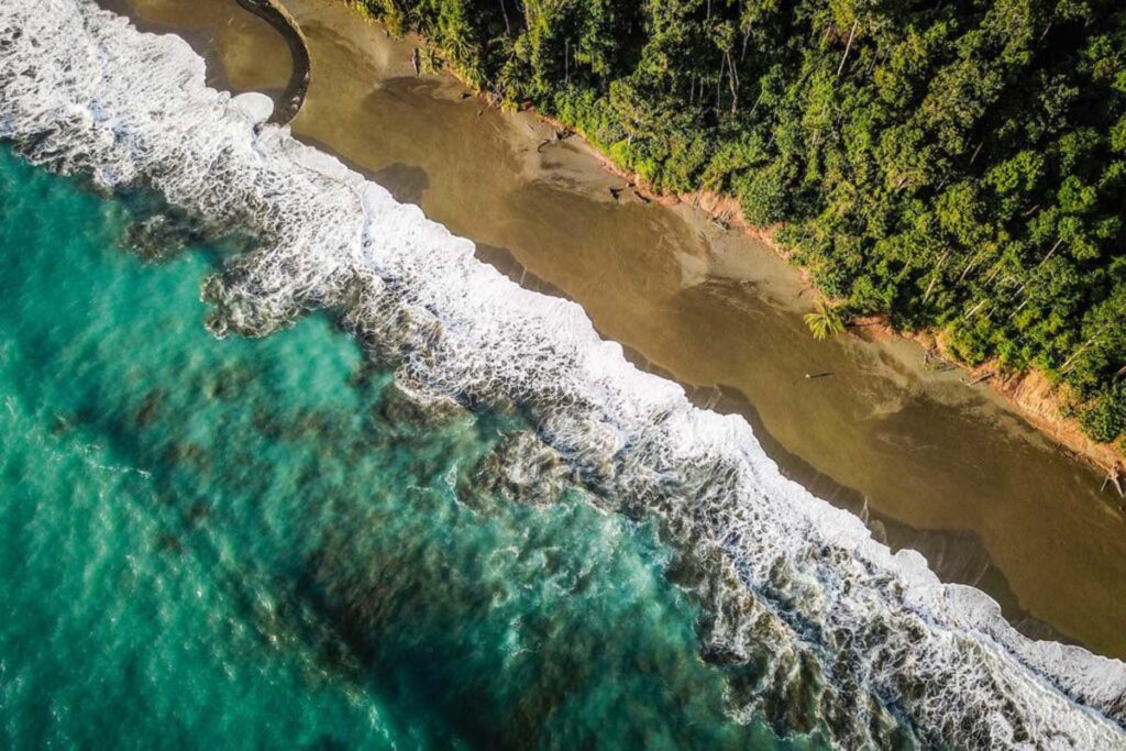 Green ocean with waves, sandy beach and green rainforest from above