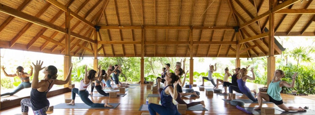 Classes — Samsati Yoga : Holistic Lifestyle Experience