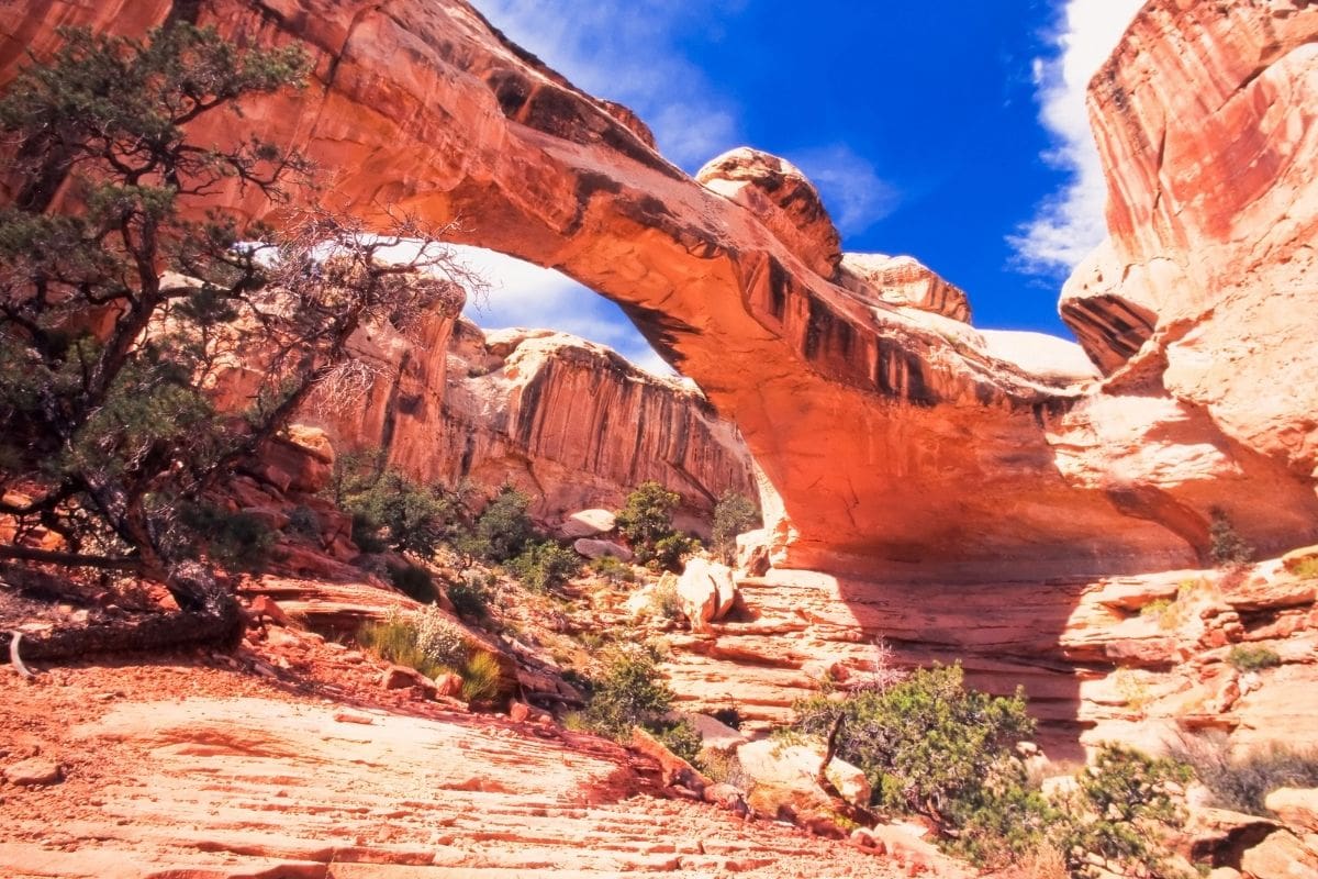 Natural Bridges National Monument in Utah