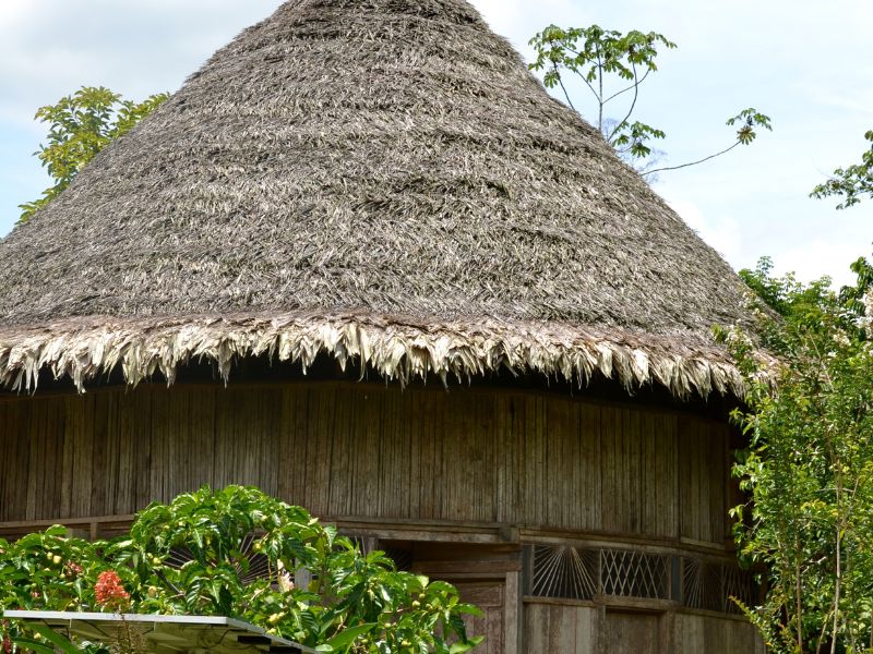 Traditional costa rican tribal house with dry leaves as roof and wood for walls