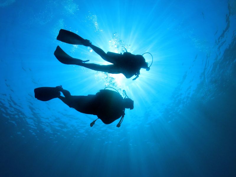 2 divers under water pictured from below so only the shadows are visible