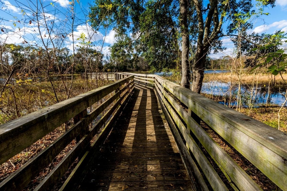 Brazos Bend State Park