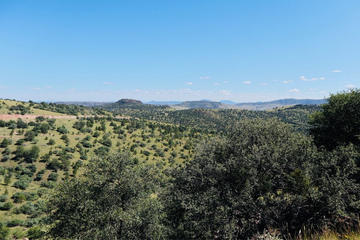 Davis Mountains State Park
