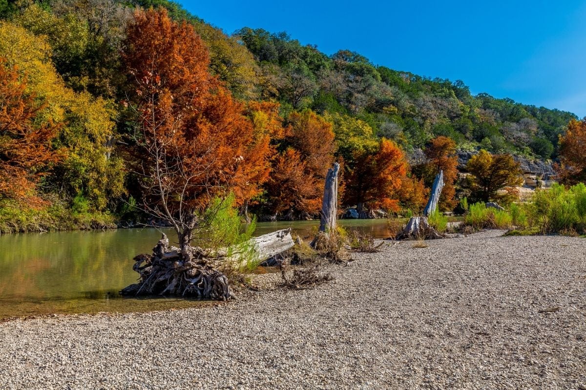 Guadalupe River State Park