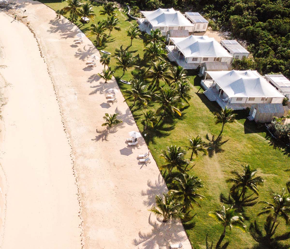 White sandy beach with palm trees and white glamorous tents