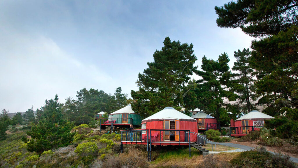 Several colorful yurts in the forest