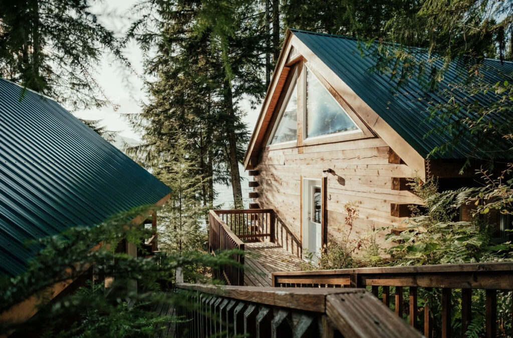 Wooden cottage with green roof and a terasse in a forest