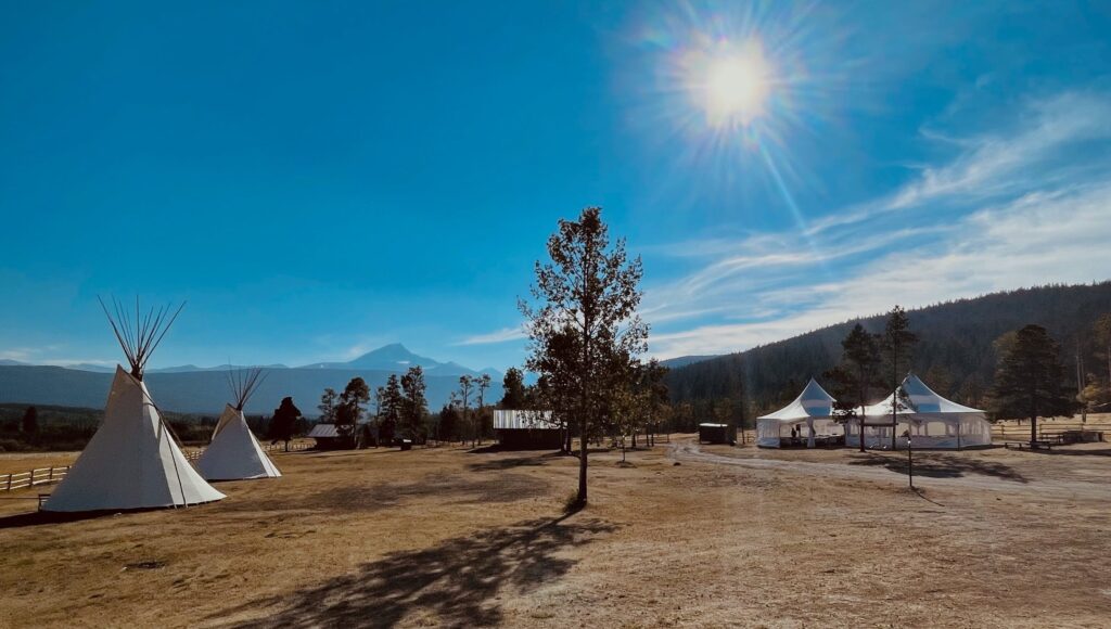 White teepees in a brown grassy area