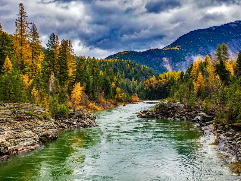 A river surrounded by pine trees and a mountain at the back