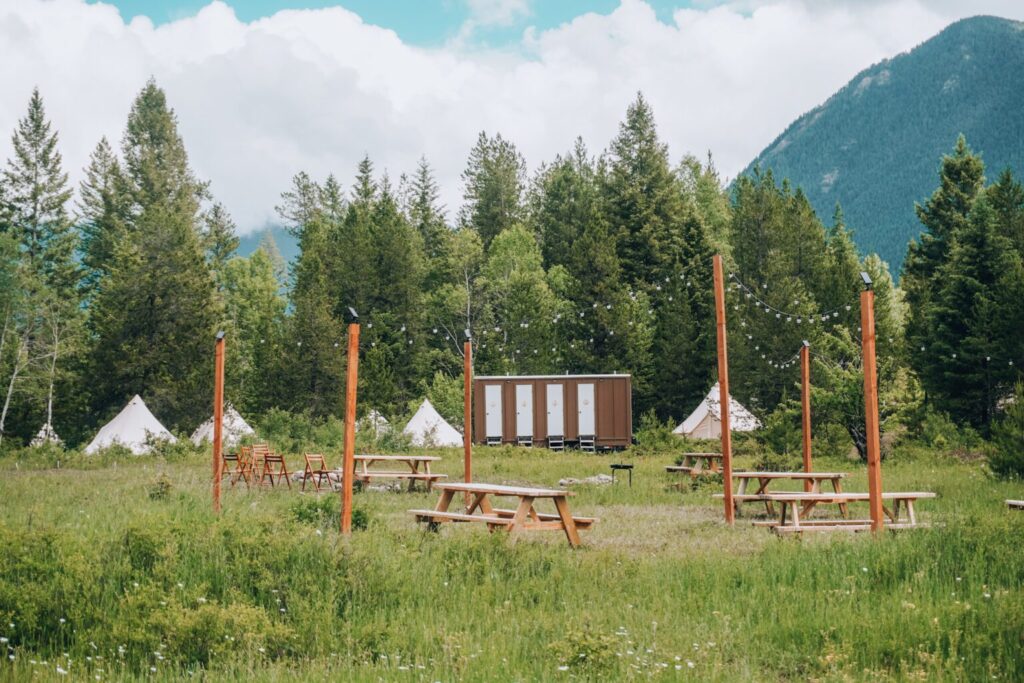 White tents in front of pine trees.