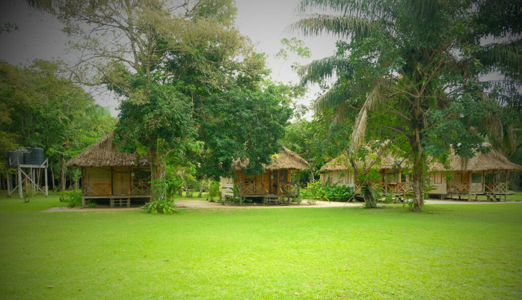 Small wooden huts in a jungle and vibrant green grass in front of them