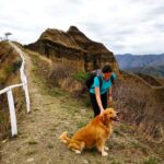 Woman with a dog on a hill during hiking