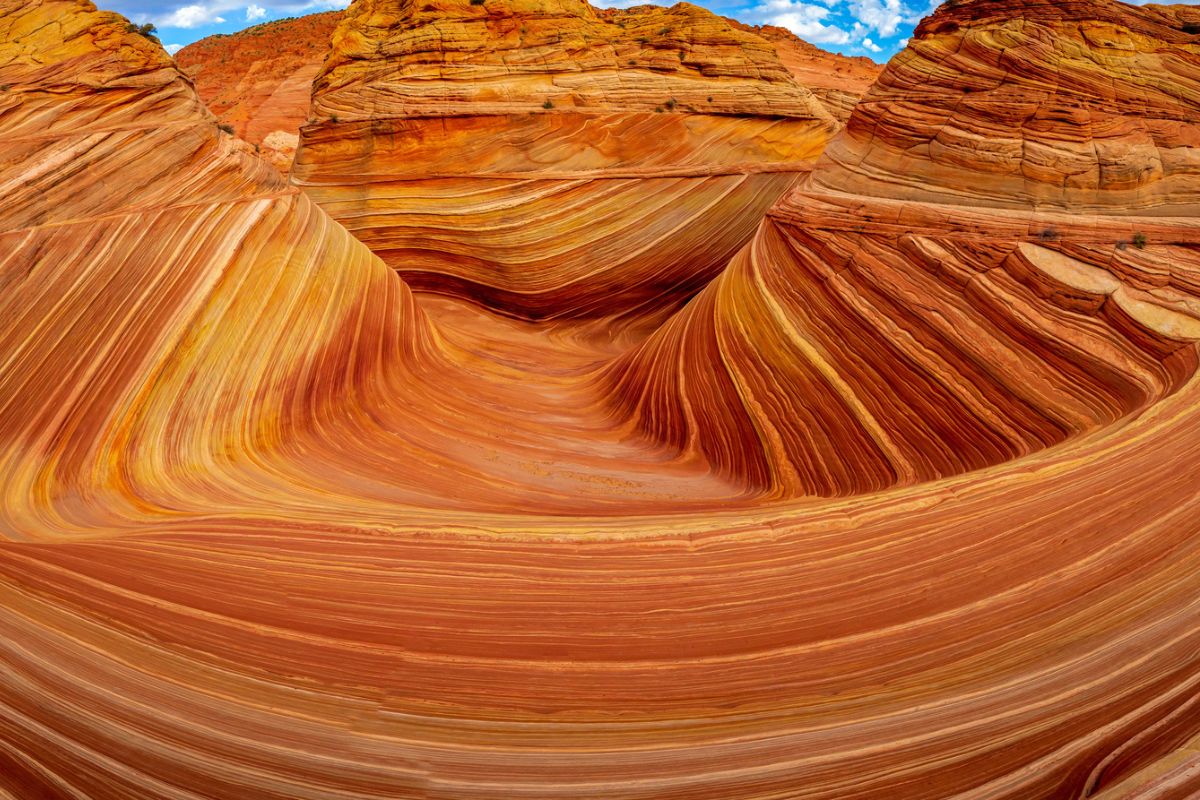 The Wave in Arizona