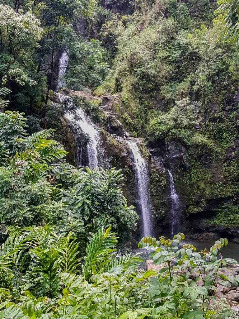Two tiered waterfall with 3 falls in green jungle