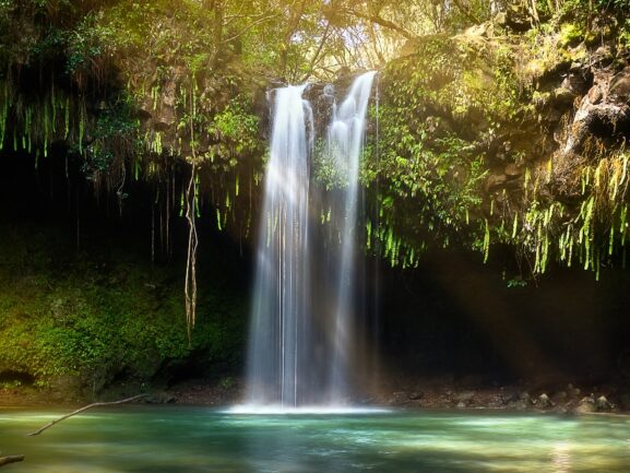 Small cascade surrounded by jungle dropping to a turquoise pond.