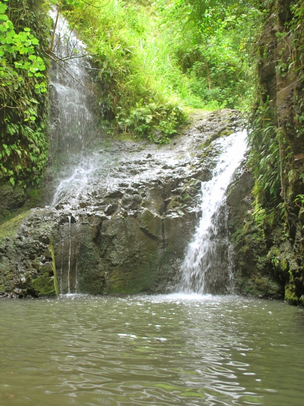 Small cascading waterfall to a pond.