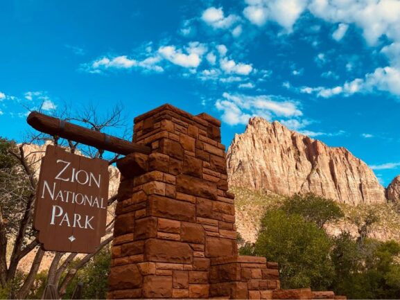 Photo by Charlie Wollborg on Unsplash