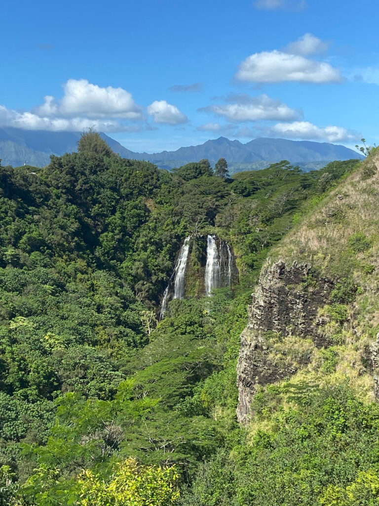 A twin waterfall from afar dropping within a dense jungle