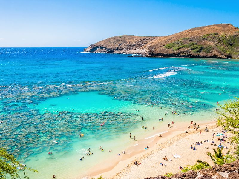 Sandy beach and turquoise ocean with lots of people in snorkeling gears in the water.