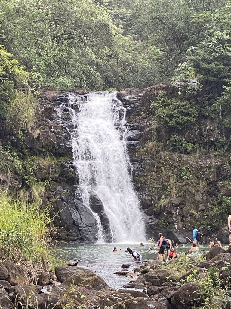 A thick waterfall is flowing down on grey rocks to a pool where people are swimming. 
