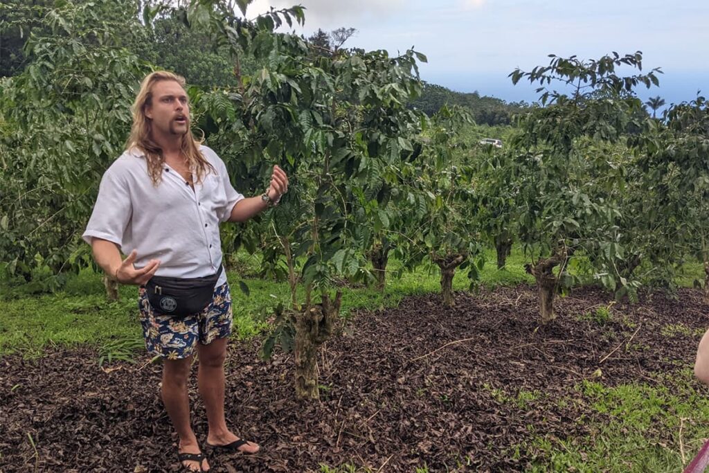 Man is standing in front of coffee trees. 