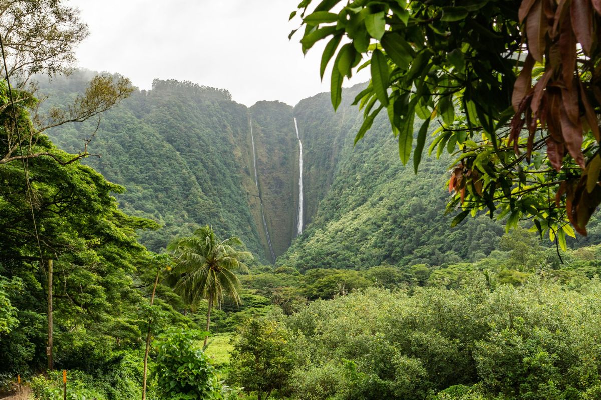 Hawaii, Big Island, Hiilawe Falls