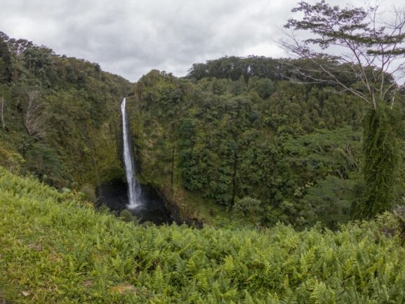A high waterfall is dropping to a pond surrounded by high liffs and forest