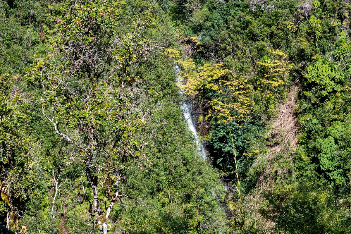 Hawaii, Big Island, Kahuna Falls