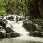 Small cascading waterfalls among rocks.