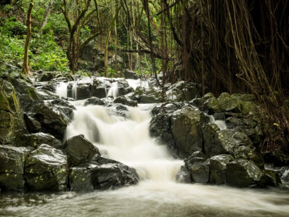 Small cascading waterfalls among rocks.