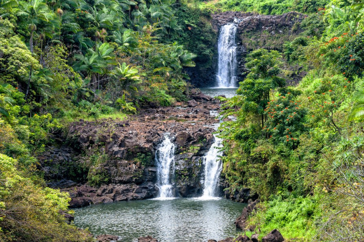 Hawaii, Big Island, Umauma Falls