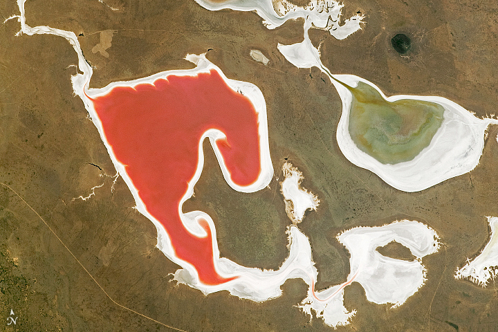 Pink lake and a green lake aerial surrounded by brown areas.