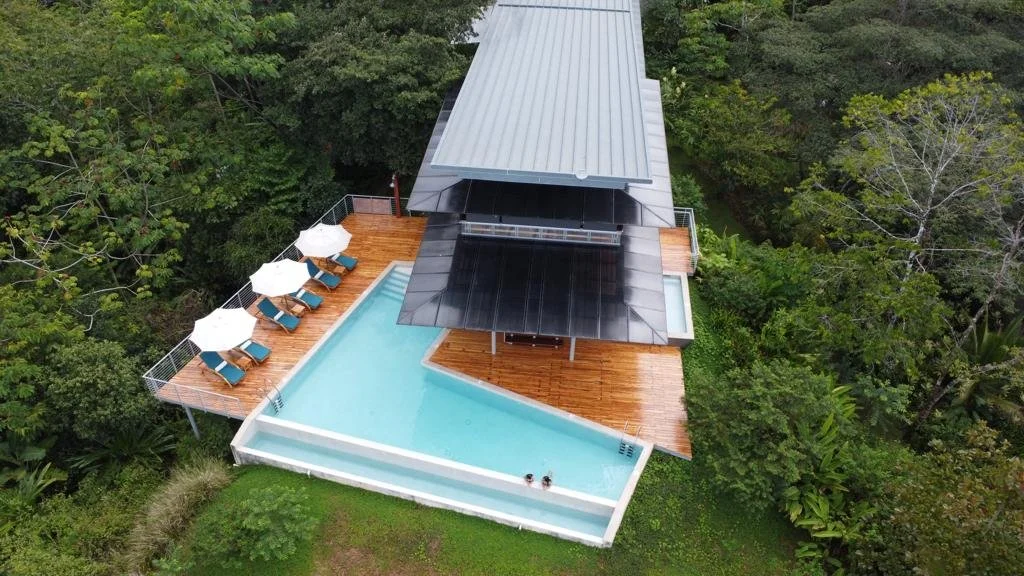Narrow lodge with pool in surrounded by rainforest