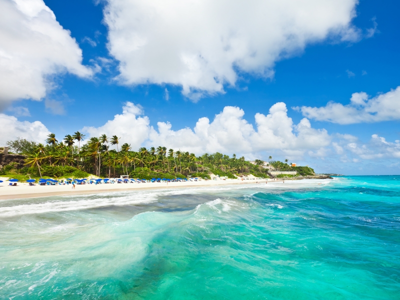 A beach with sand, palm trees and turquoise water.