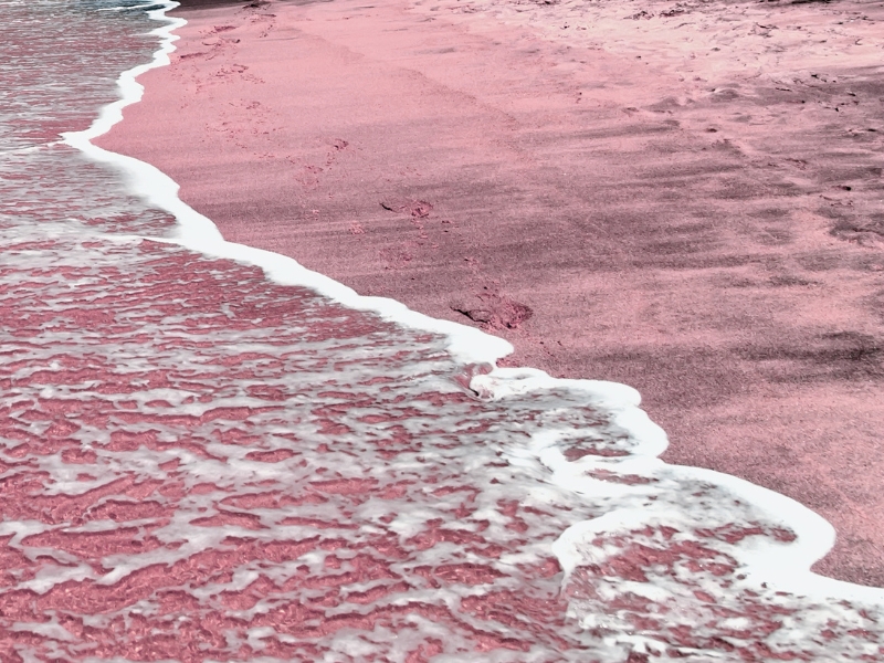 Intense pink colored beach with small waves up close.