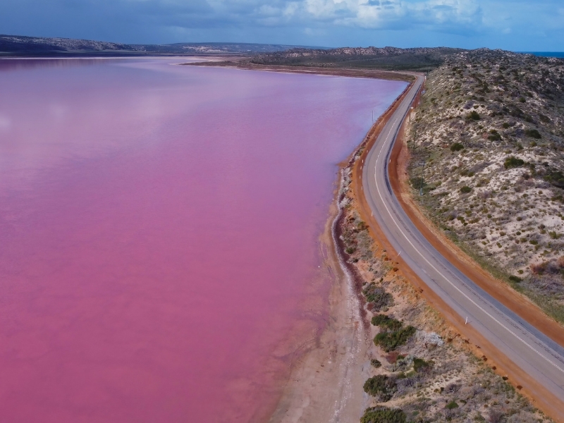 Pink lake with a road right at the shore. 