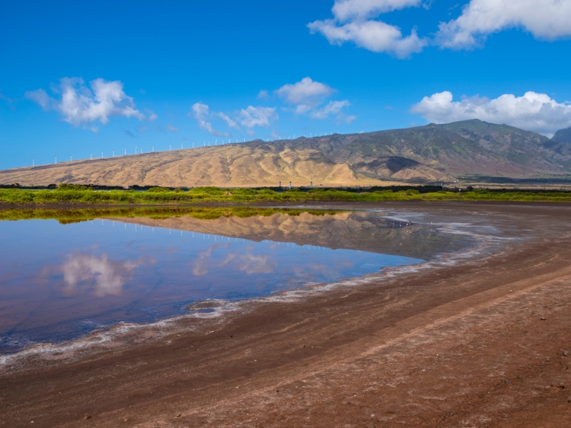 Pond with brown dirt shore and hills at the back with wind turbines