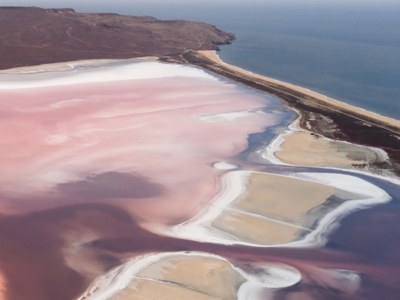 Pink white lake separated by a thin land from the sea. 