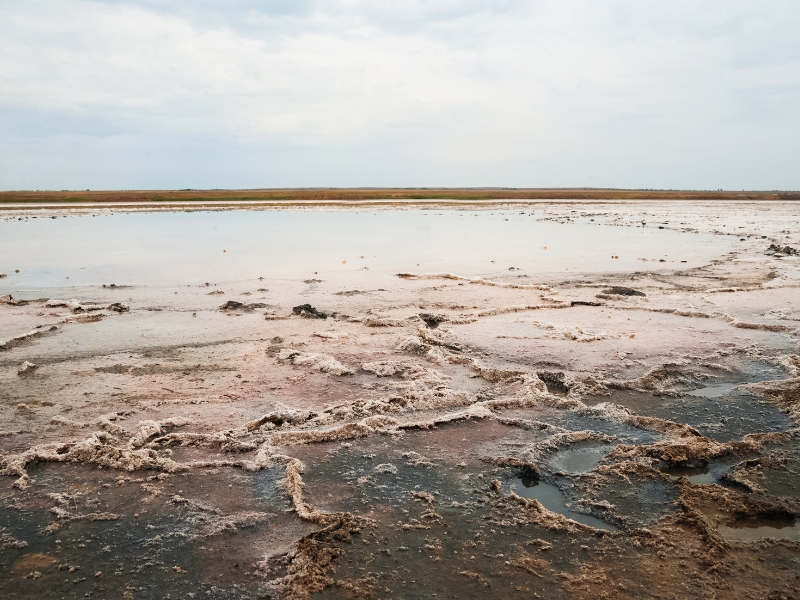 Salty basin with light pink water