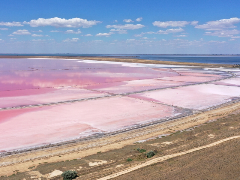 Large pink lake divided into sections. 