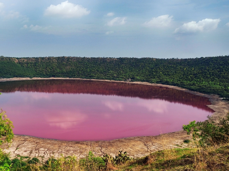 Pink round lake in a green crater. 