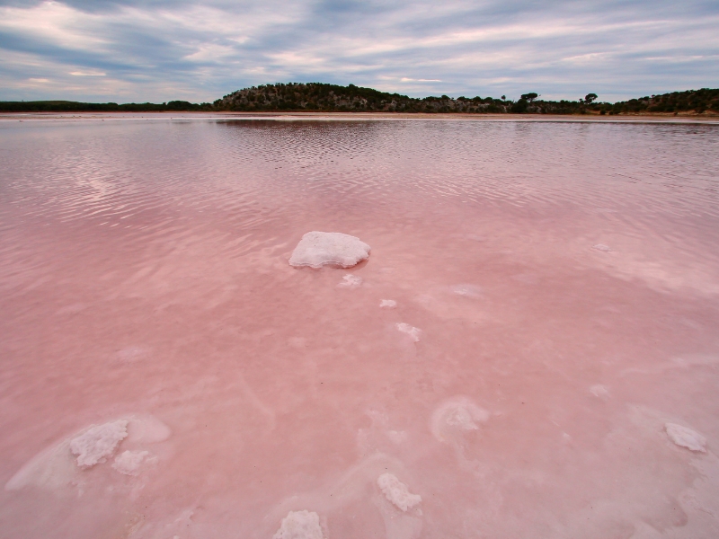 Pink waters