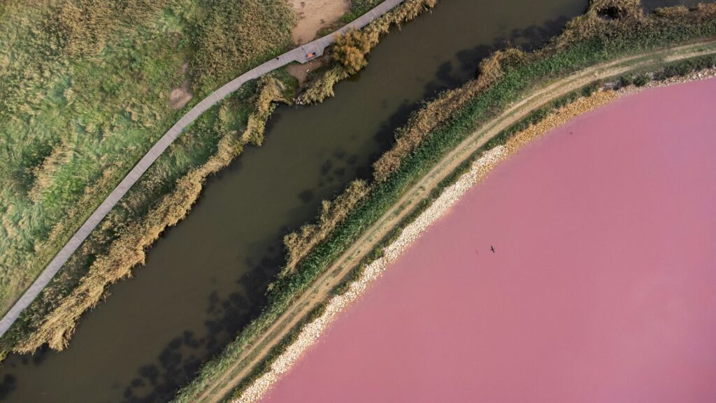 Pink lake with a river flowing right next to it. 